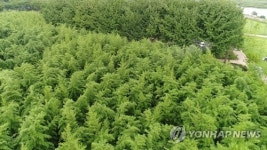 AI 없는 청정울산 드론까지 나섰다