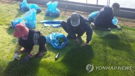 세발나물 맛보세요