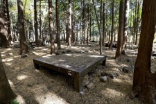 [연합이매진] 최남단 서귀포 자연휴양림