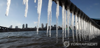 강가에 언 고드름