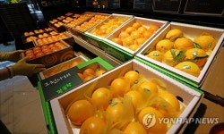 농축수산 선물 10만원·경조사비 5만원으로