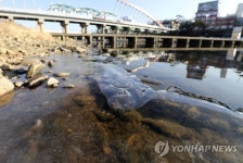 얼기 시작한 무심천