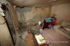 정리는 해보지만…