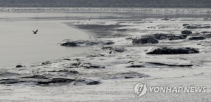 얼기 시작한 김포지역 한강