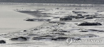 얼기 시작한 김포지역 한강