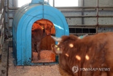 추위를 피하거라