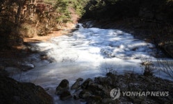 한파에 얼어붙은 금원산 계곡