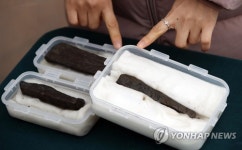 아차산성 집수지에서 발견된 삼국시대 목간