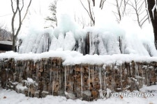 계곡 칼바람이 빚은 얼음 동산