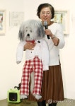 주인공 푸실이와 함께