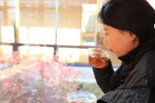 [길따라 멋따라] 만연산 치유의 숲으로 떠나는 화순 힐링 여행