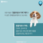 [카드뉴스] 동물병원 진료비 천차만별…똑같은 약이 3배 비싸네요