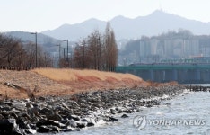 서울 한강 콘크리트 걷어내고 자연 강변 복원