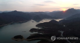 악어를 깨우는 아침