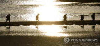 노랗게 물든 하천을 건너며