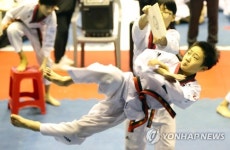 이것이 돌려차기