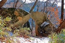 삽살개 빼닮은 속리산 바위