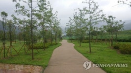 전남도 숲 속의 전남 만들기 순천 강청수변공원 도시숲