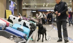 캘리포니아 대마합법화에 따른 밀반입 특별단속 실시한다