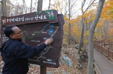 [길따라 멋따라] 가지 않은 숲길…보성 제암산 명품 숲길을 거닐다