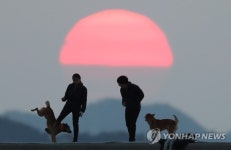 2017년과 작별하는 진도개