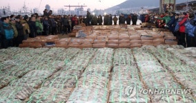 부산공동어시장 새해 첫 경매