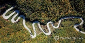 법주사∼세심정 세조길 뚫리니 속리산에 구름인파