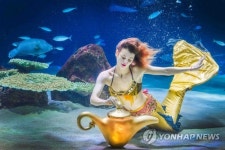 알라딘과 인어공주 수중공연 보세요
