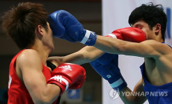 복싱M 주관 한국 신인 최강전 배틀로얄 27일 개막