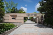 국립춘천박물관, 평창올림픽 맞아 곰 특별전