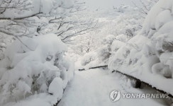하얀세상으로 변한 국립공원 덕유산