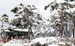 눈덮인 임실 국민관광지 사선대