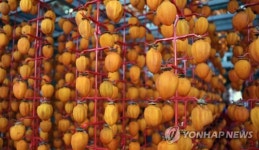 임금님도 반할 곶감