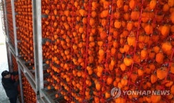 임금님도 반한 맛 함안곶감…서울 청계천 찾는다
