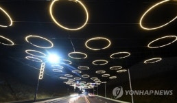 화려한 강릉 올림픽파크 진입로