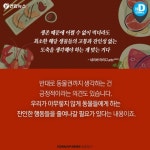 [카드뉴스] 산채로 끓는 물에 넣어지는 바닷가재 고통 아시나요
