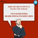 [카드뉴스] 산채로 끓는 물에 넣어지는 바닷가재 고통 아시나요