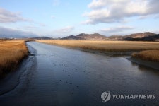 평화로운 순천만