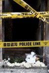 국화꽃 과 출입금지