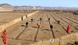 FAO, 올해 북한서 농업지원사업 7건 진행