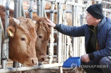 경기도, 올해 축산 경쟁력 강화에 1천264억 쓴다