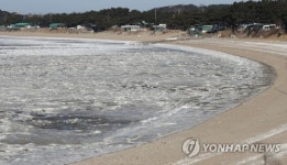 얼음 덮인 해변