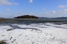 동장군에 얼어붙은 완도 청해진유적지 앞바다