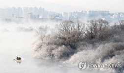 추위가 빚은 풍경