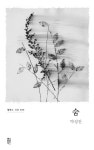 [신간] 투명에 대하여 외·숨·손가락이 간질간질