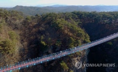소금산 출렁다리 지나가는 성화