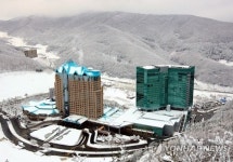[올림픽] 강원랜드 호텔·콘도 이용객에 정선 상품권 제공