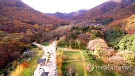 고창 선운산도립공원에 국민여가캠핑장 내년까지 조성