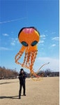팽이만들기·연날리기…과천과학관 설맞이 행사 마련