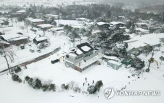 끝난 줄 알았는데 또 폭설 눈이 지겨워진 제주